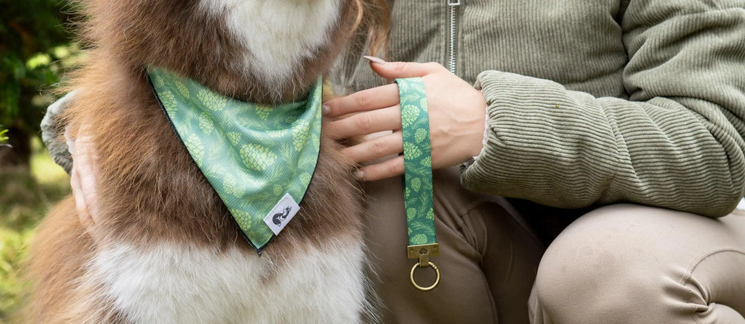 Dog Bandanas & Matching Keychains