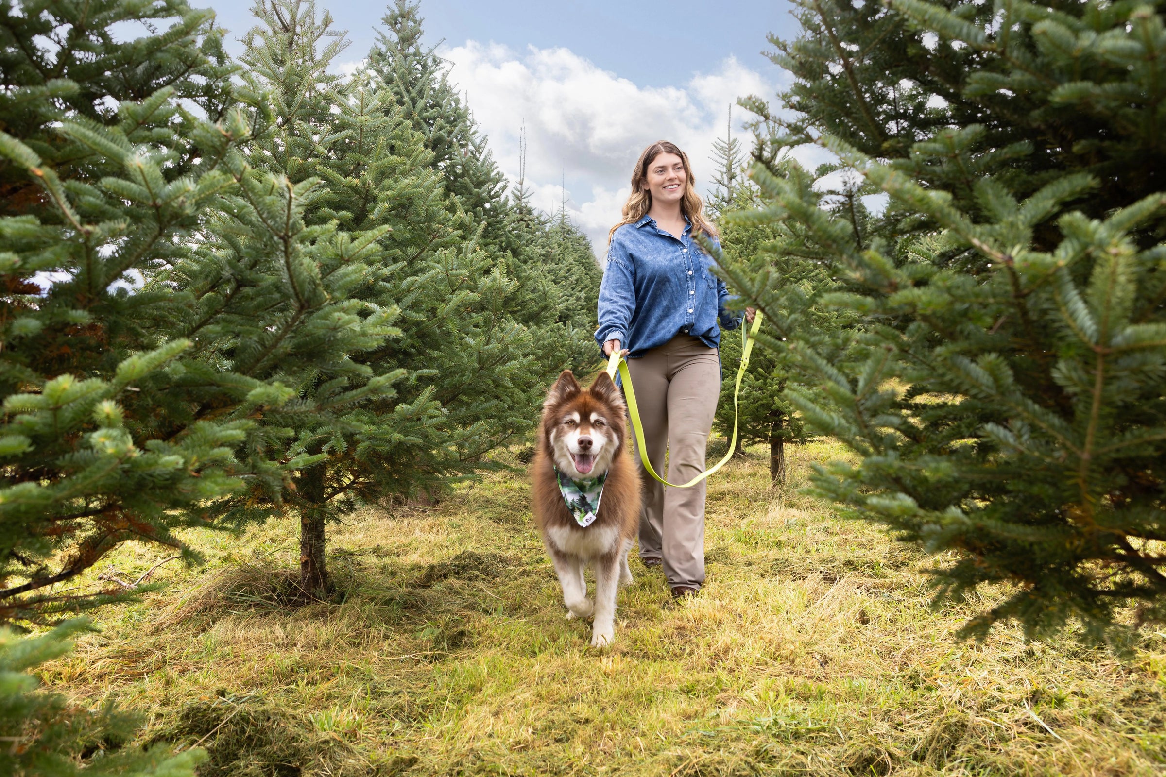 Mossy Pine Trails - Dog