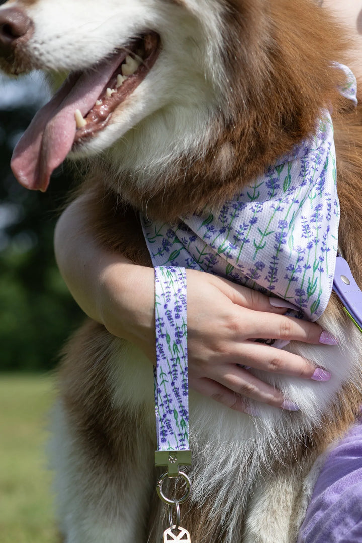 Lavender Blooms Dog Bandana & Matching Keychain