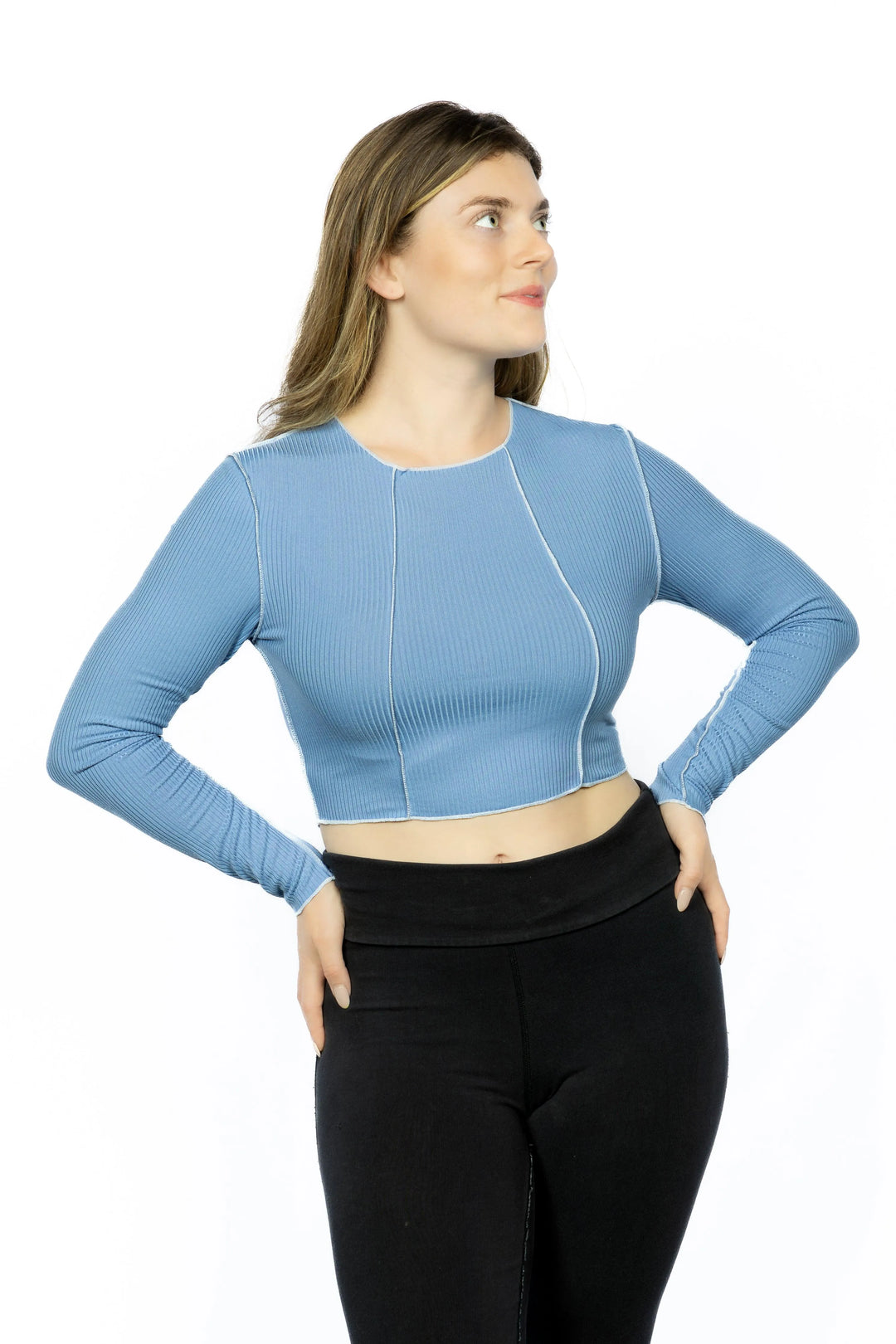 Exposed Seam Long Sleeve Ribbed Crop Top - Aria the Fox