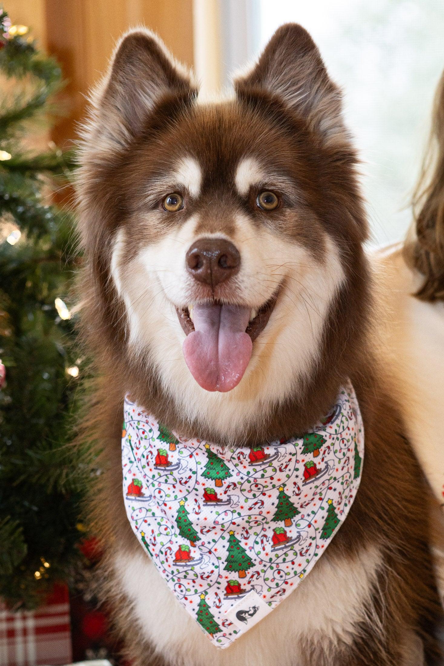 Pet christmas bandanas best sale