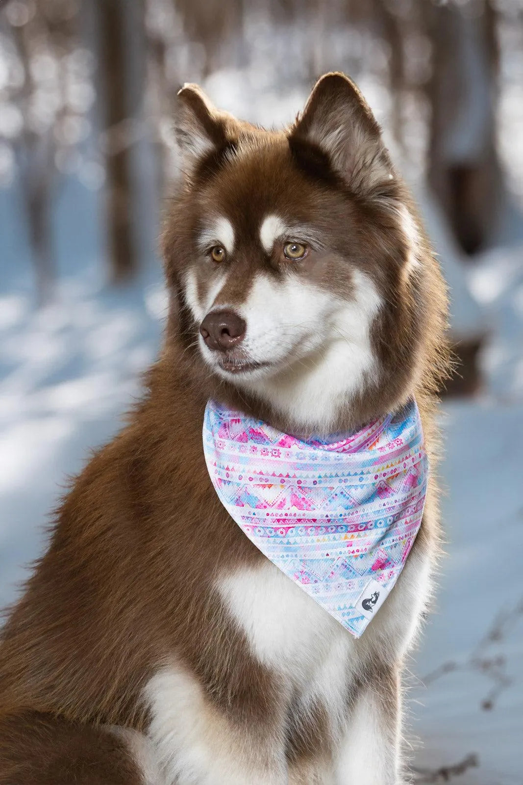 Pink and Blue Tribal Dog Bandana - Aria the Fox