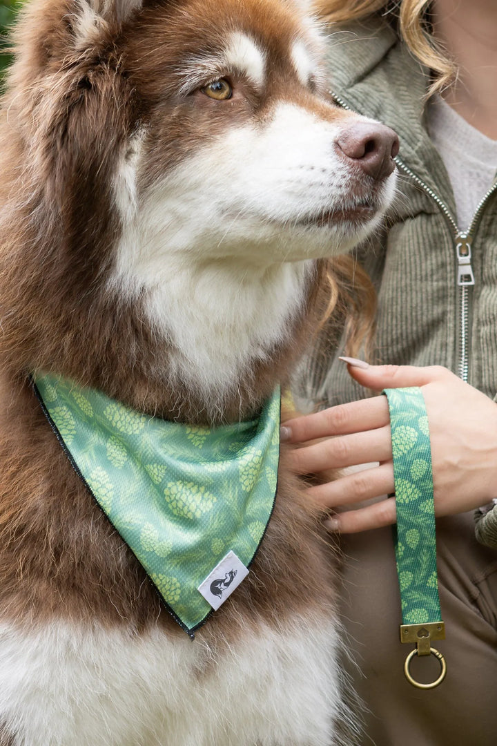 Pine Cone Pup Bandana & Matching Keychain