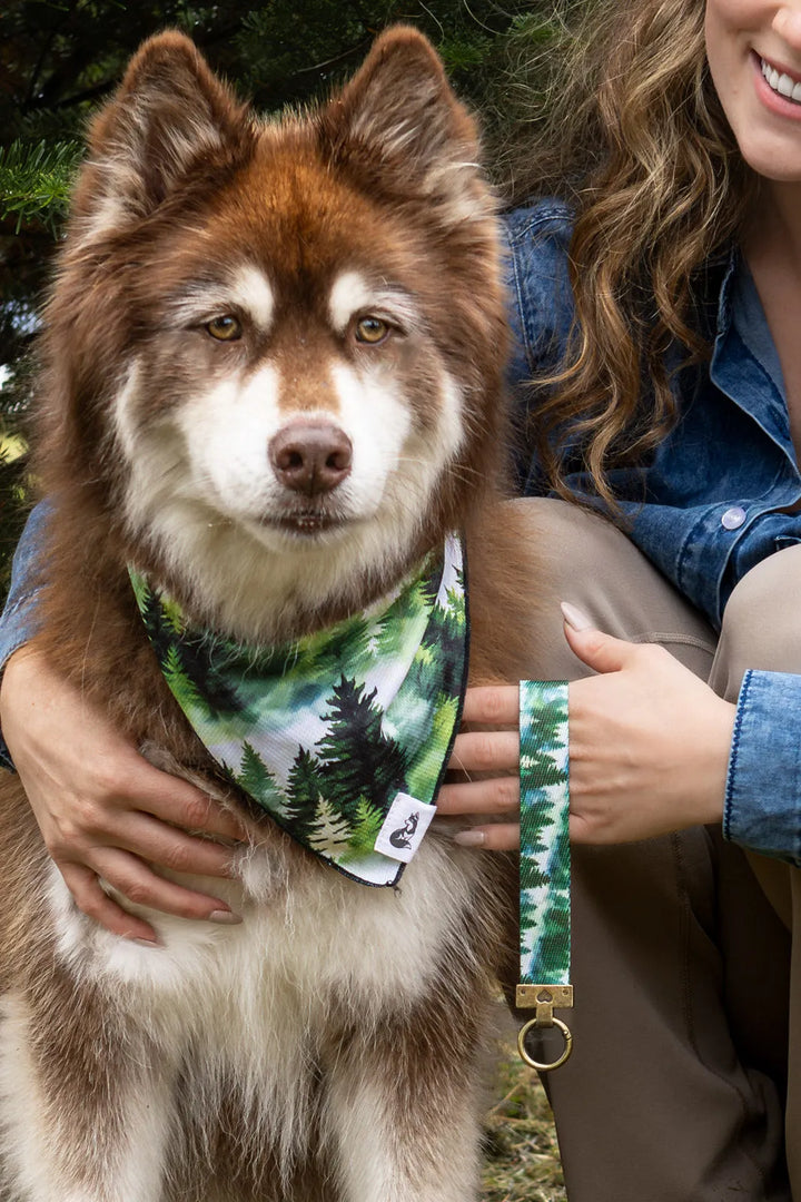 Evergreen Explorer Dog Bandana & Matching Keychain