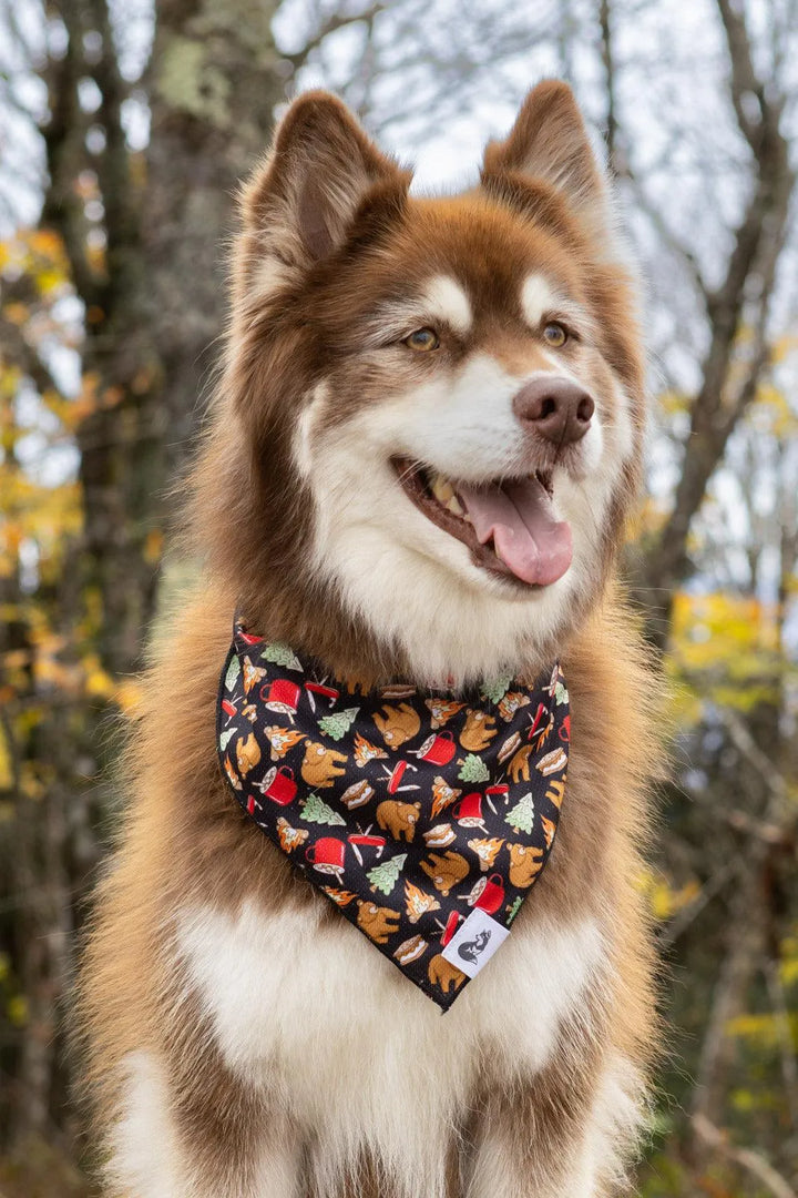 Woodland Tales Dog Bandana - Aria the Fox