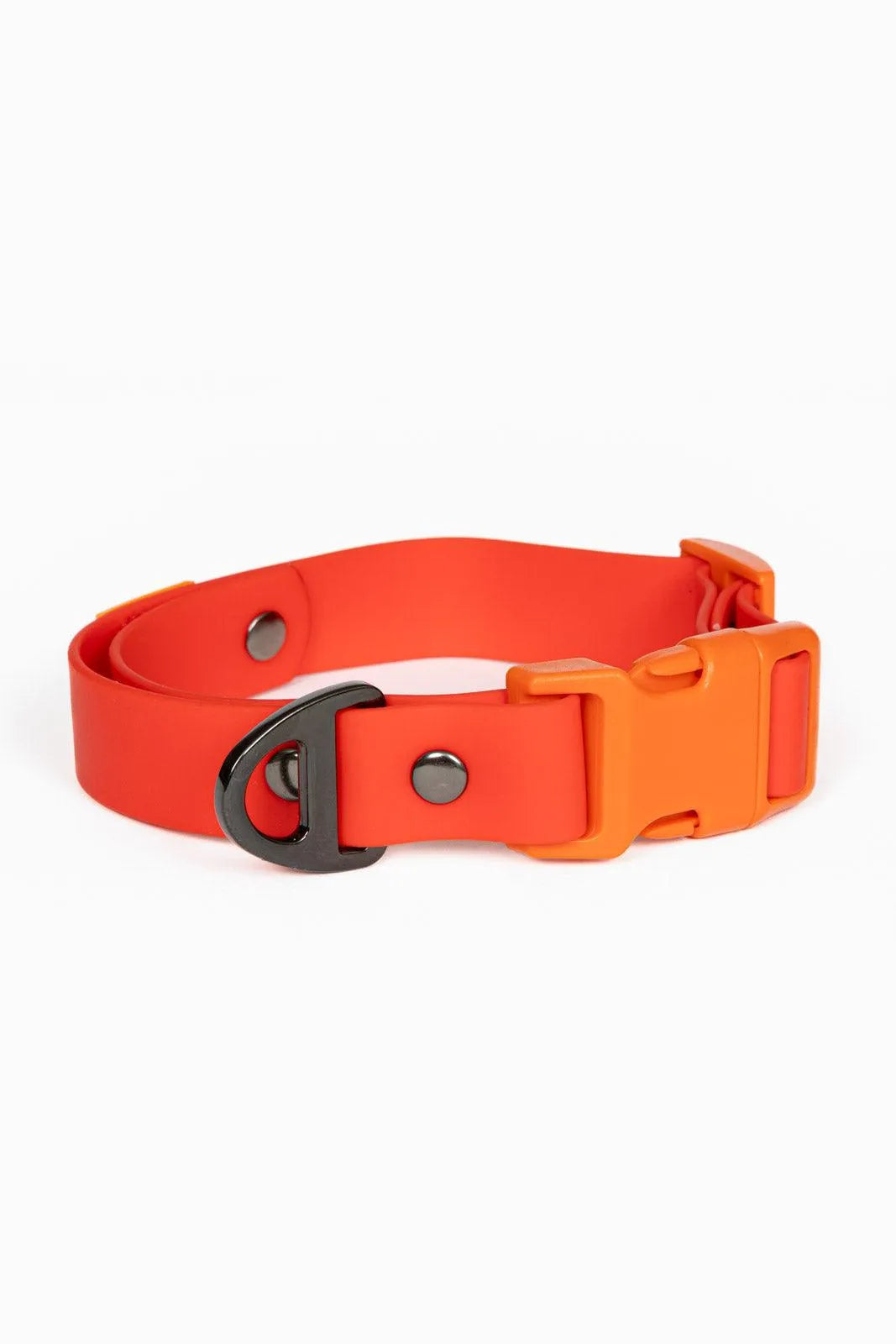 Scarlet Peaks Waterproof Dog Collar - Aria the Fox