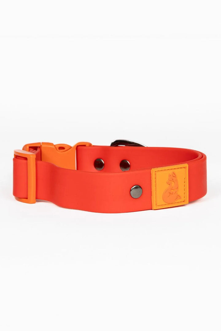 Scarlet Peaks Waterproof Dog Collar - Aria the Fox