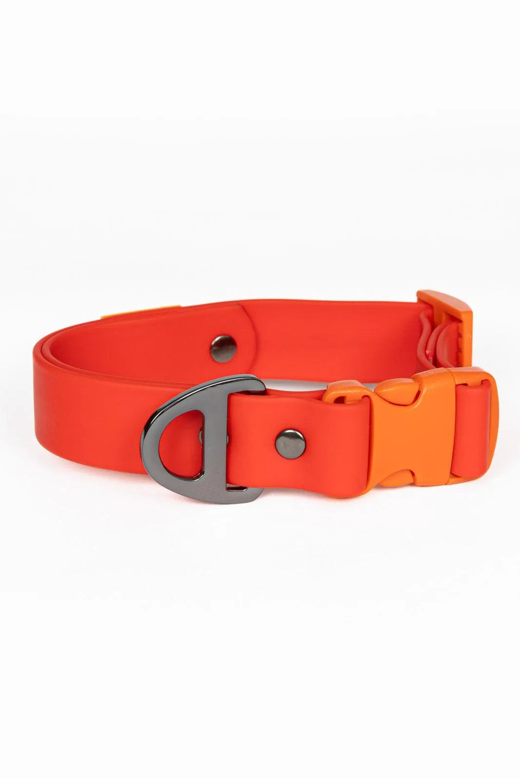 Scarlet Peaks Waterproof Dog Collar - Aria the Fox