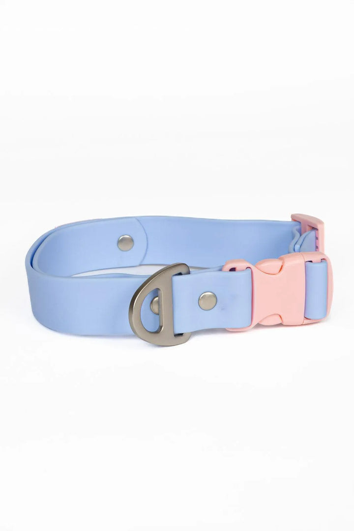 Blue Sky Orchid Waterproof Dog Collar - Aria the Fox