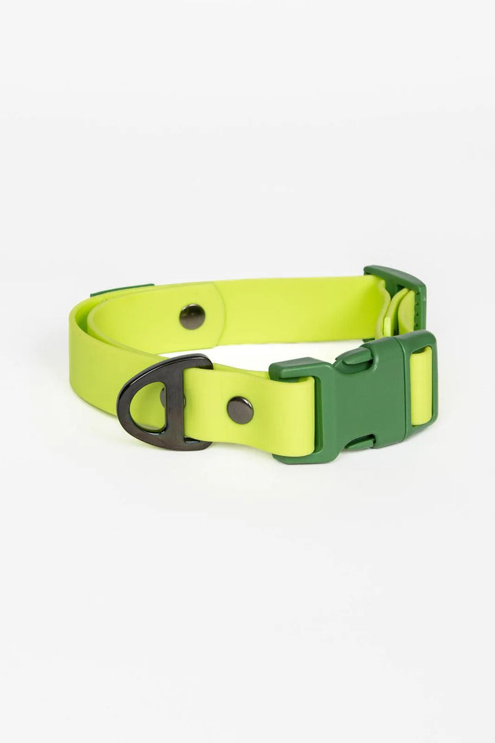 Mossy Pine Waterproof Dog Collar - Aria the Fox