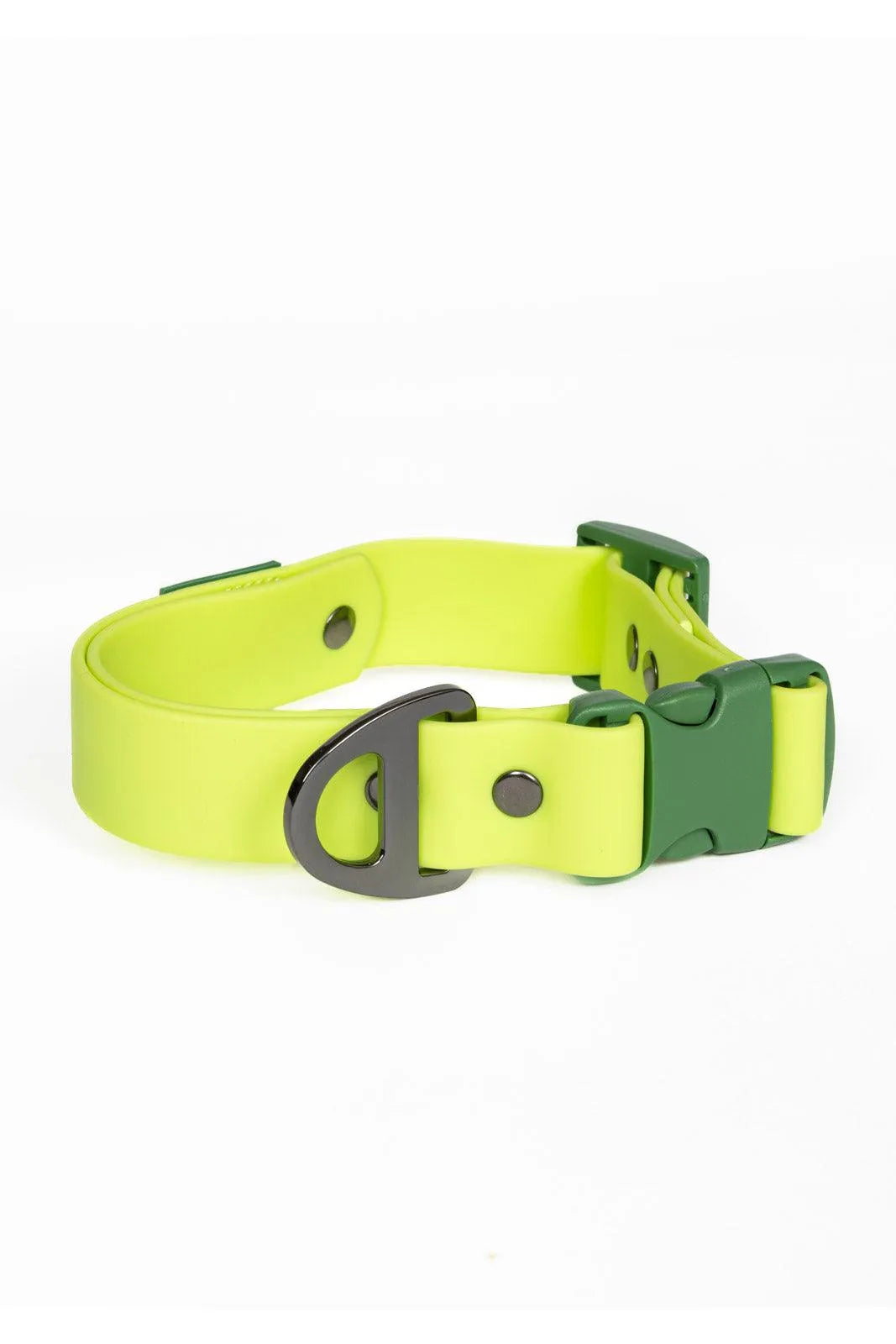 Mossy Pine Waterproof Dog Collar - Aria the Fox