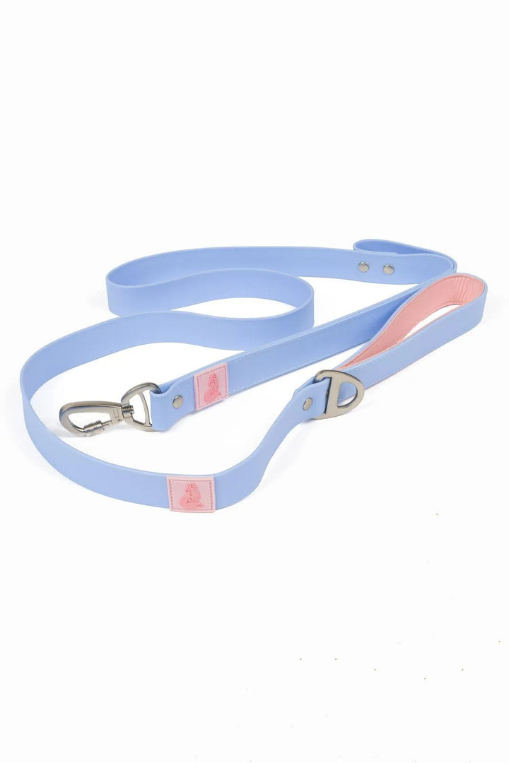 Blue Sky Orchid Waterproof Leash - Aria the Fox