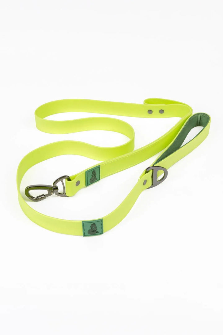 Mossy Pine Waterproof Leash - Aria the Fox