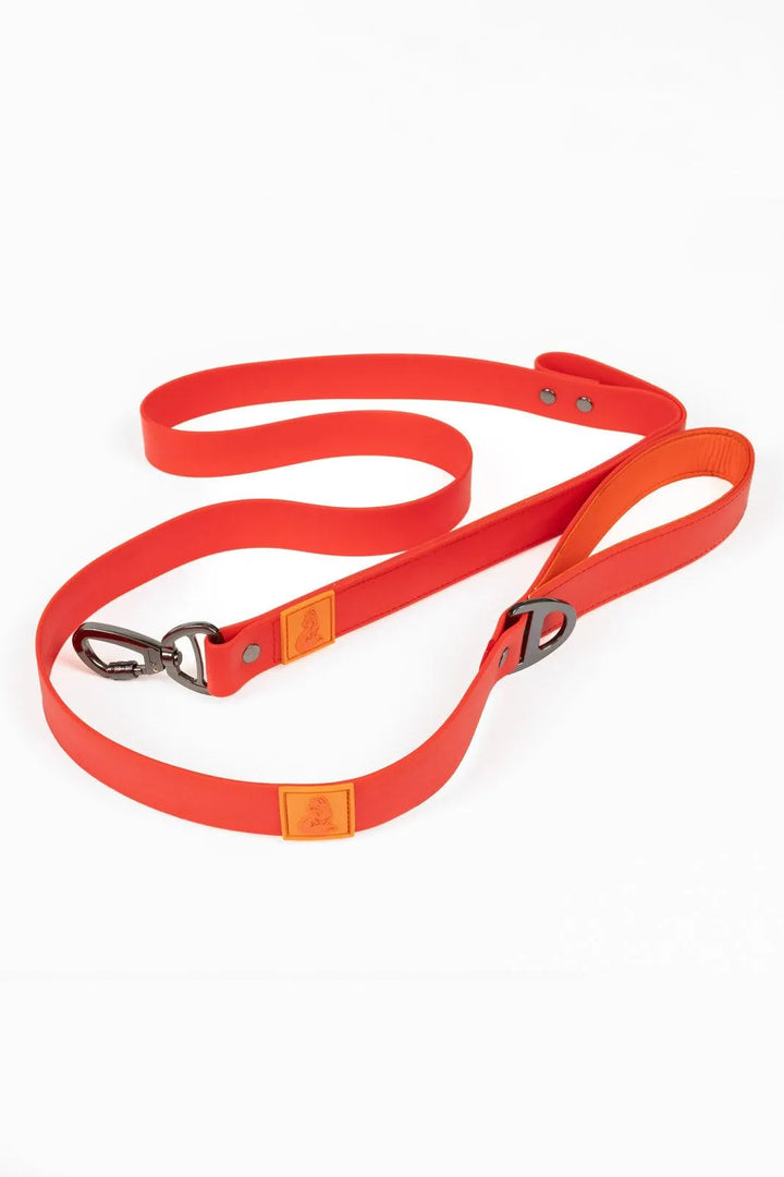 Scarlet Peaks Waterproof Leash - Aria the Fox