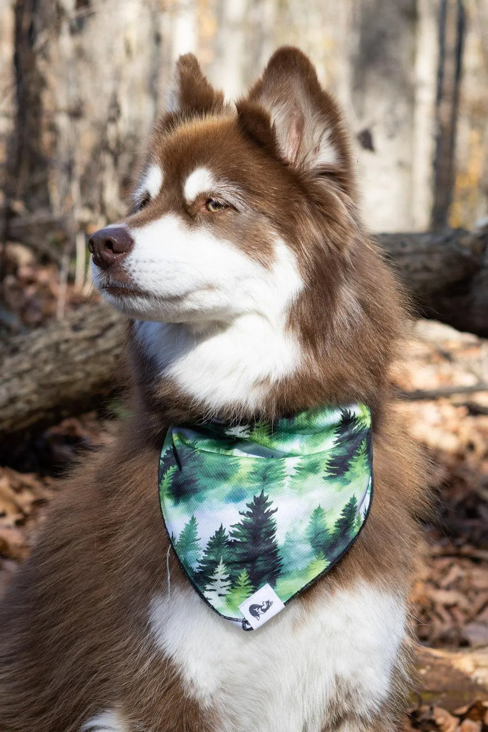 Evergreen Explorer Dog Bandana - Aria the Fox