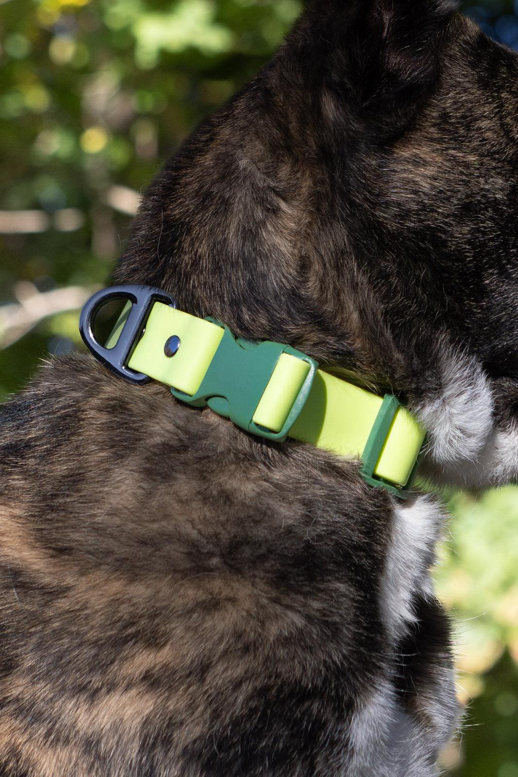 Durable Waterproof Dog Collar (Oyster)