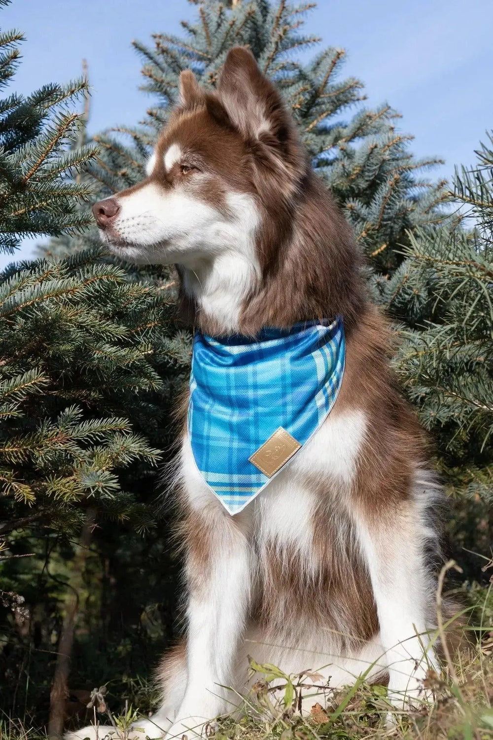 Blue Spruce Plaid Bandana bandana