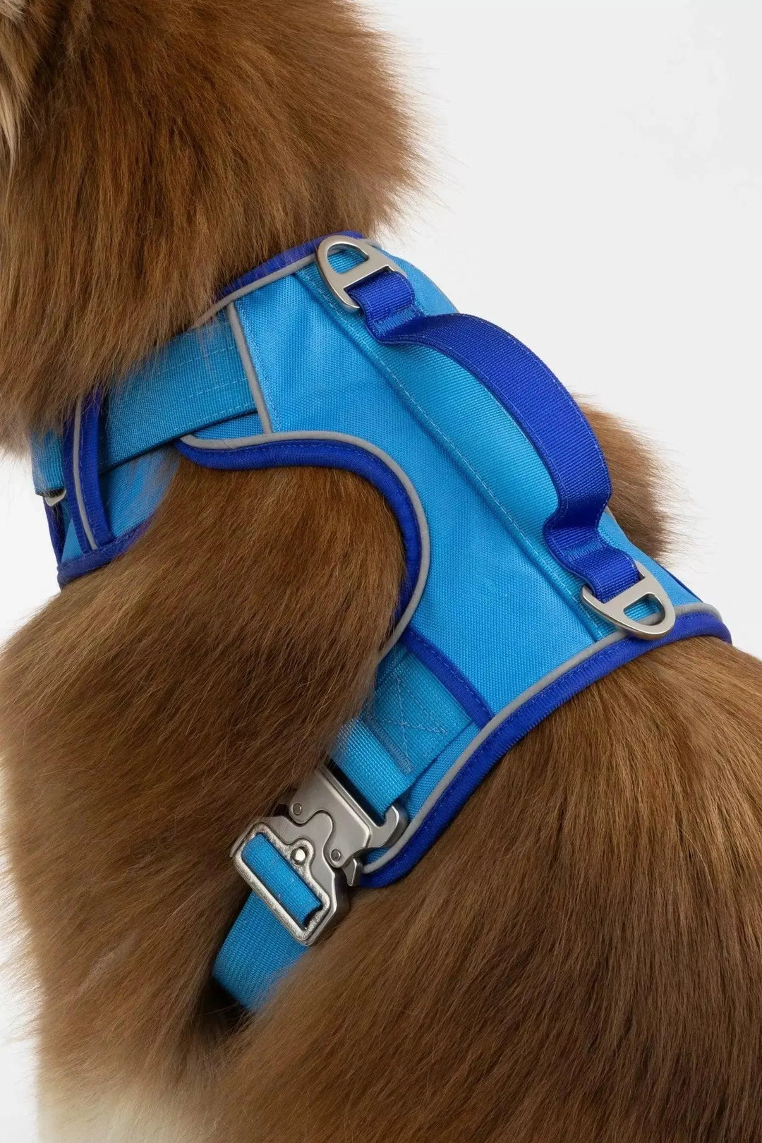 Dockside Adventures Ultimate Harness Harness