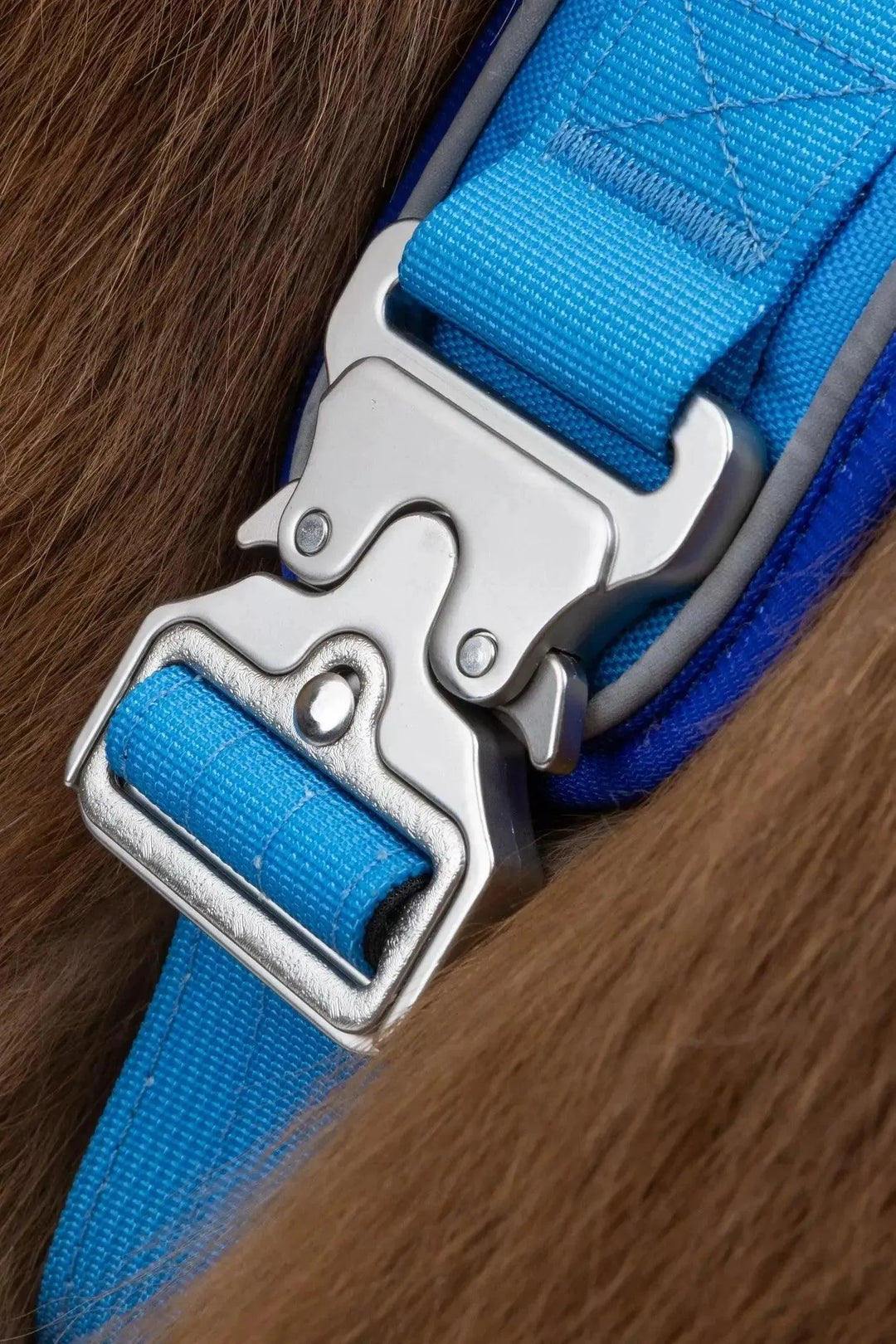 Dockside Adventures Ultimate Harness Harness