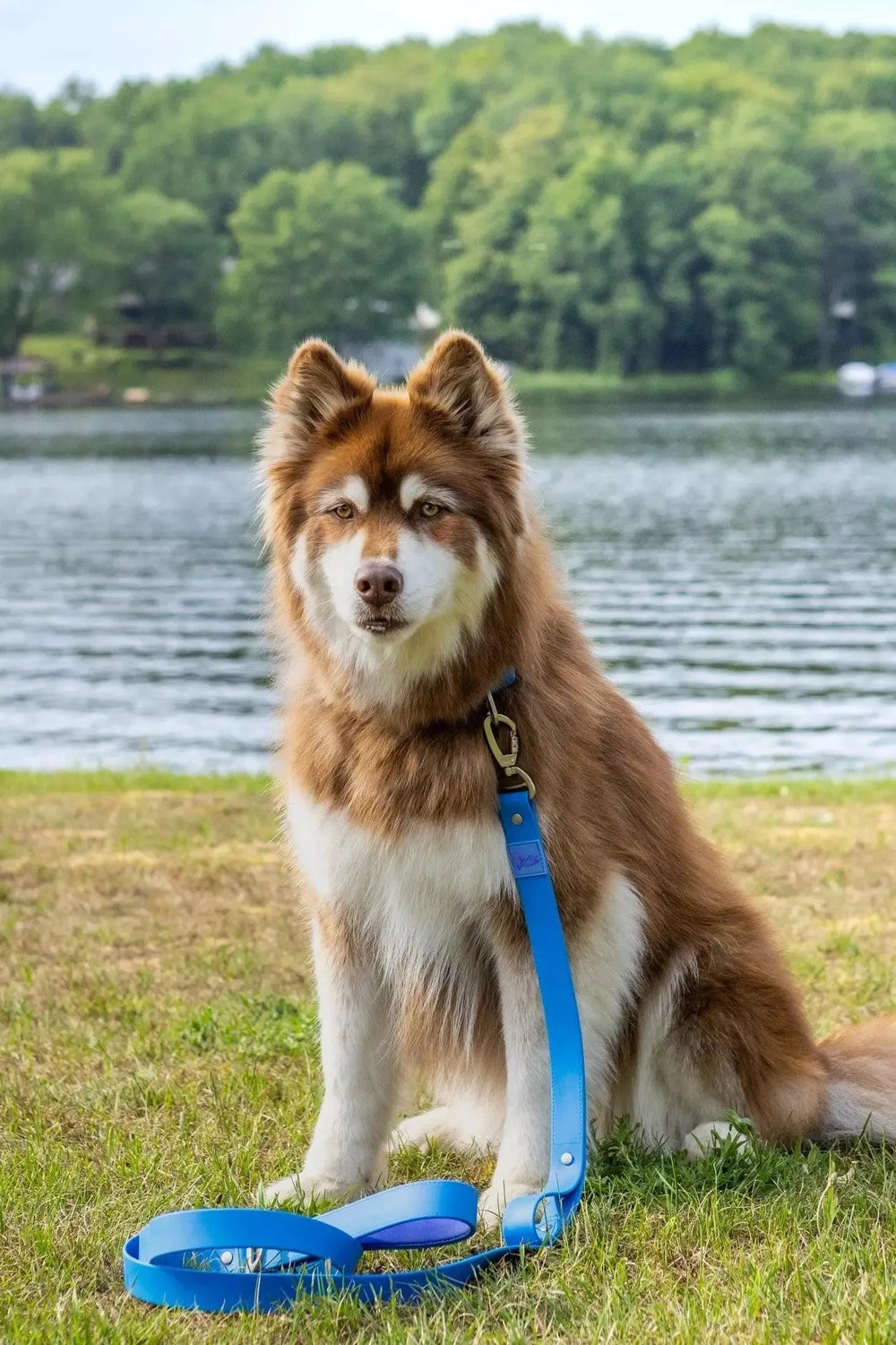 Dockside Adventures Waterproof Leash Leash