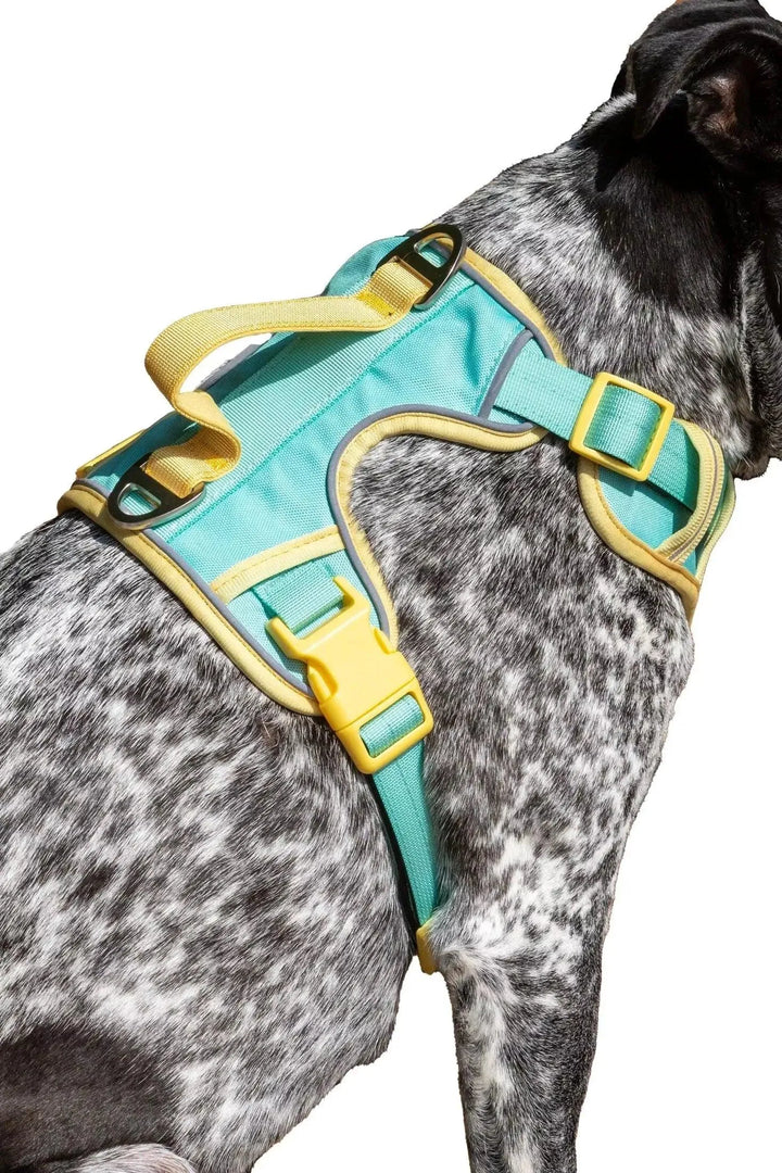 Island Vibes Ultimate Harness Harness