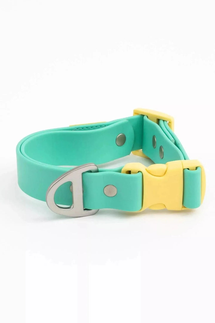 Island Vibes Waterproof Collar Collar