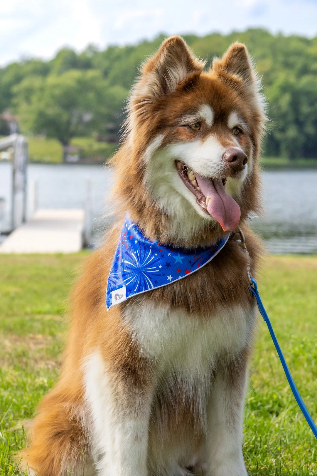 Stylish Premium Dog Bandanas - Lightweight, Breathable & Stretchy Fabric for Active Pups - Vibrant & Fun Seasonal Designs - Perfect for Fashionable Dogs