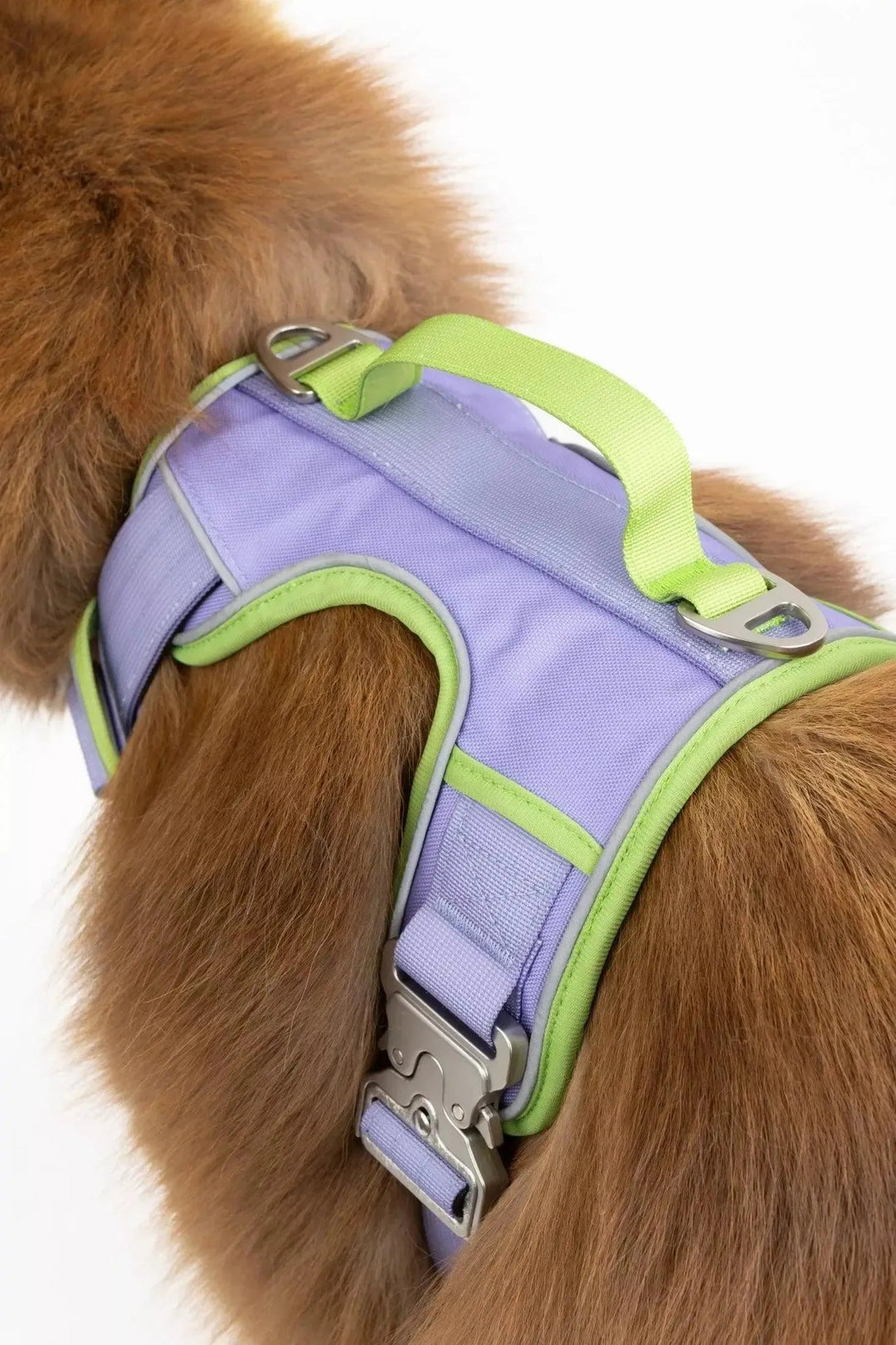 Lavender Garden Ultimate Harness Harness