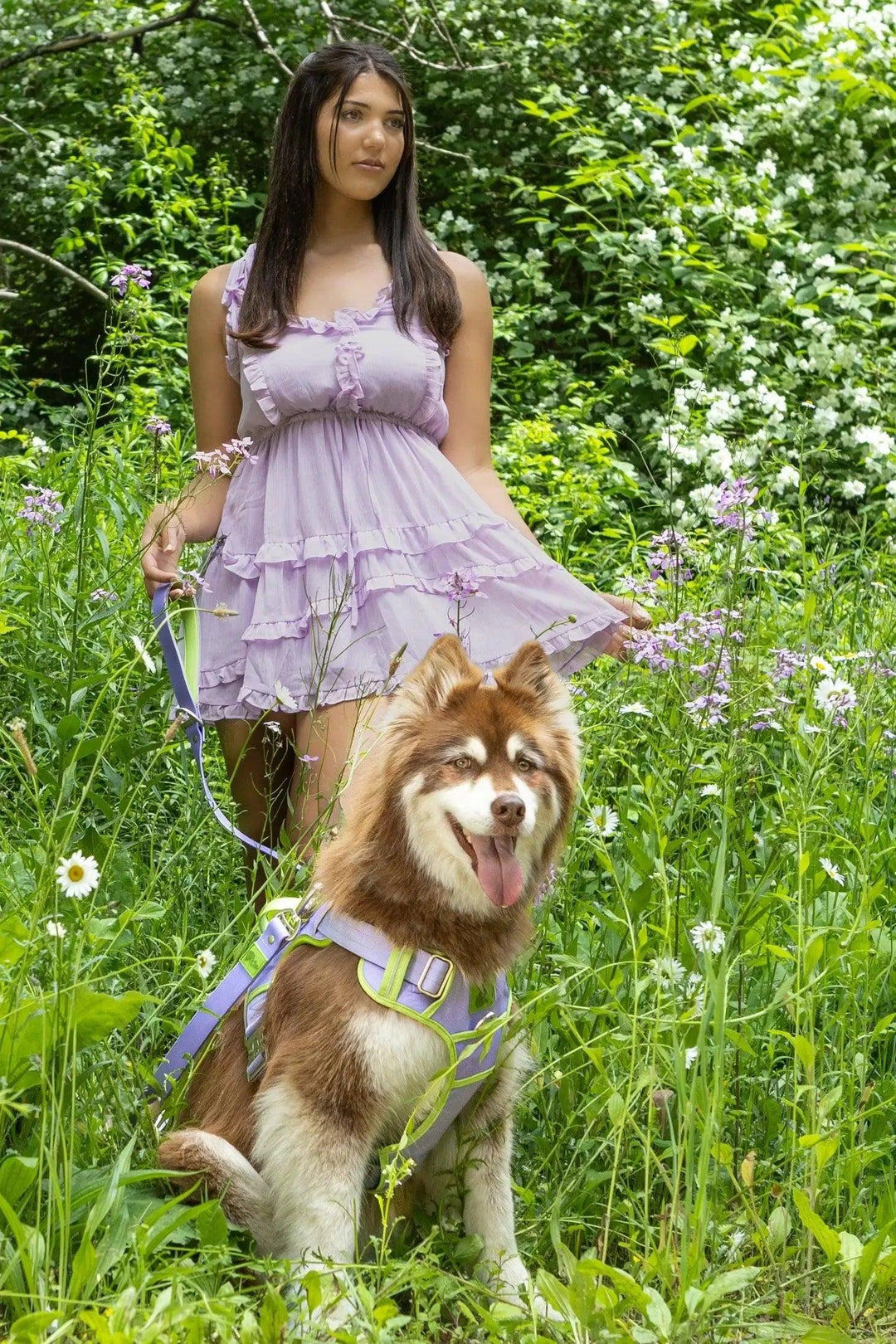 Lavender Garden Ultimate Harness Harness