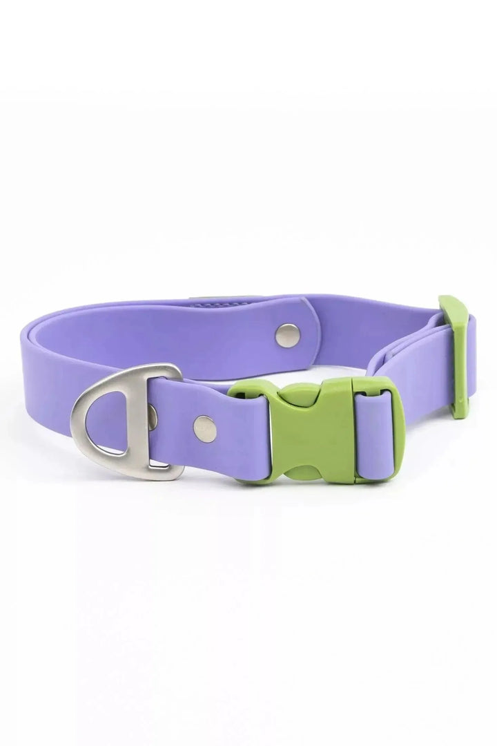 Lavender Garden Waterproof Collar Collar