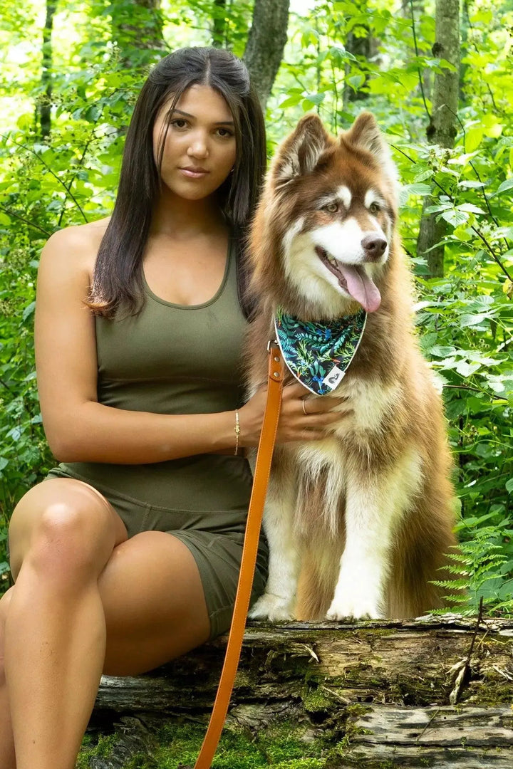 Magical Fern Forest Bandana bandana