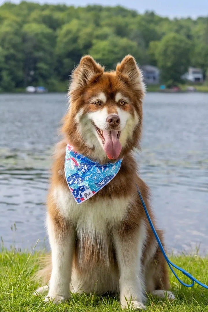 Painted Peaks Bandana bandana