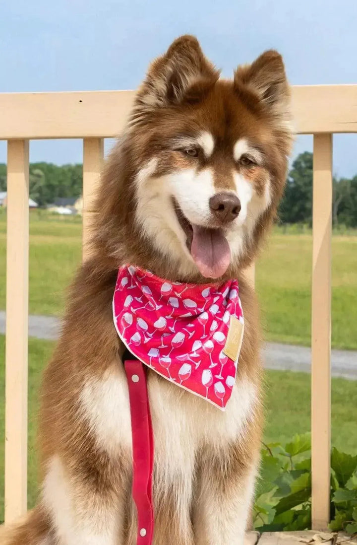 Red Mountain Syrah Bandana bandana