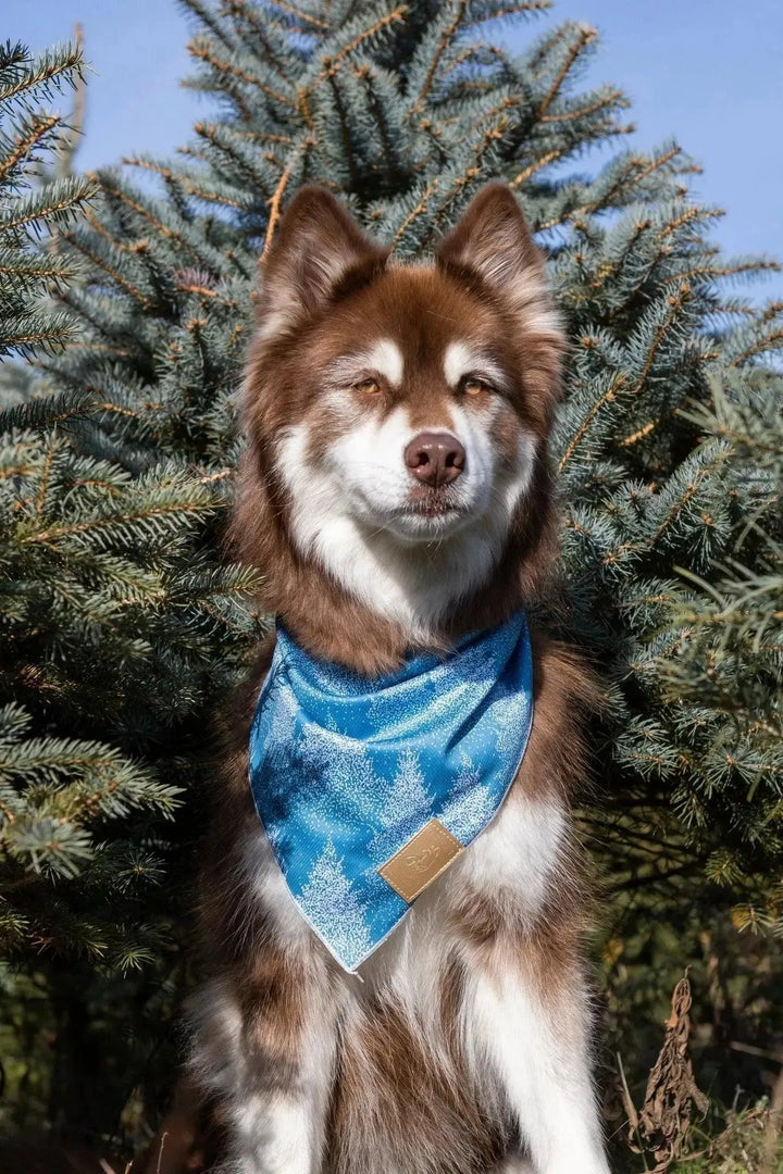 Siberian Spruce Bandana bandana