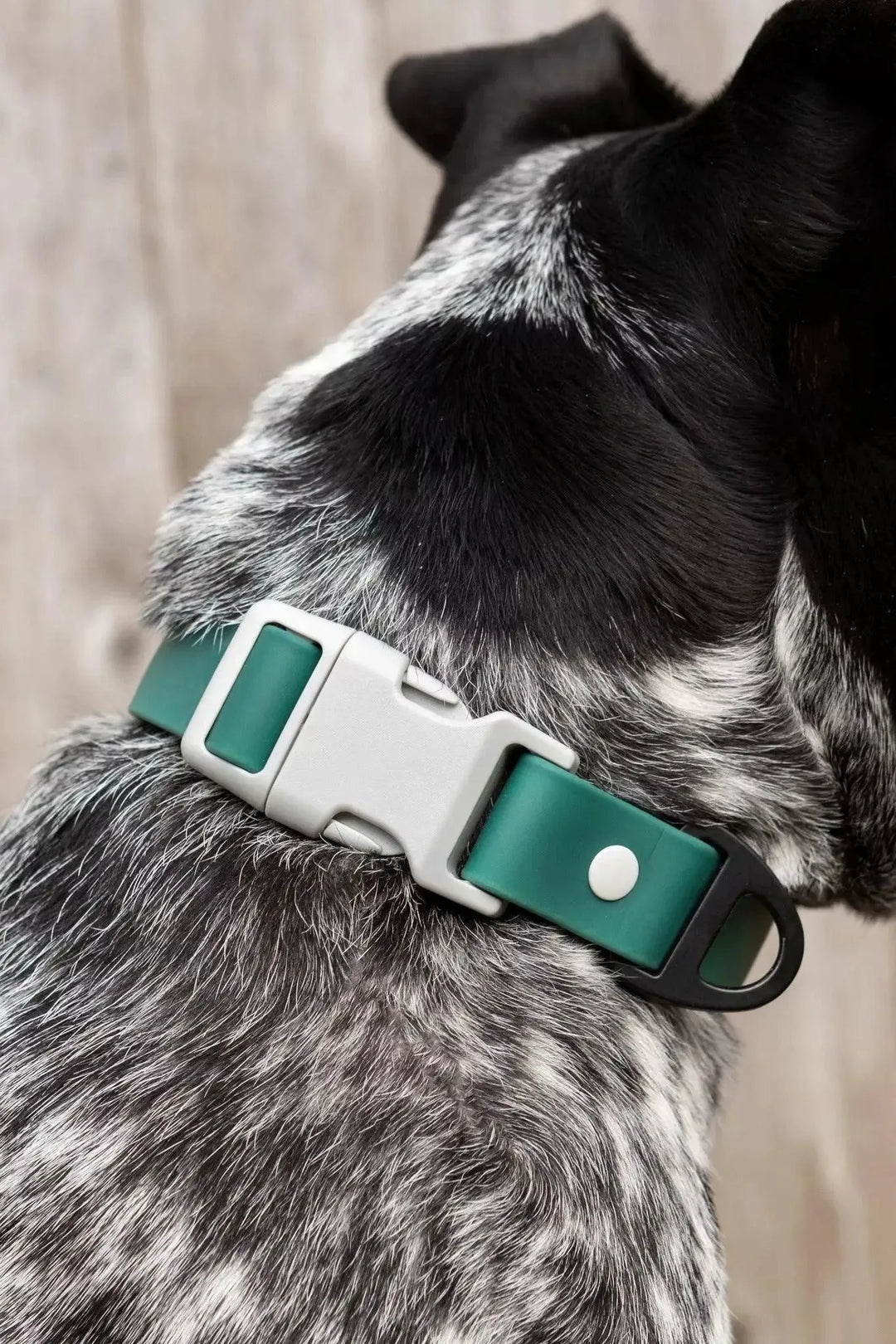 Siberian Spruce Waterproof Dog Collar Collar