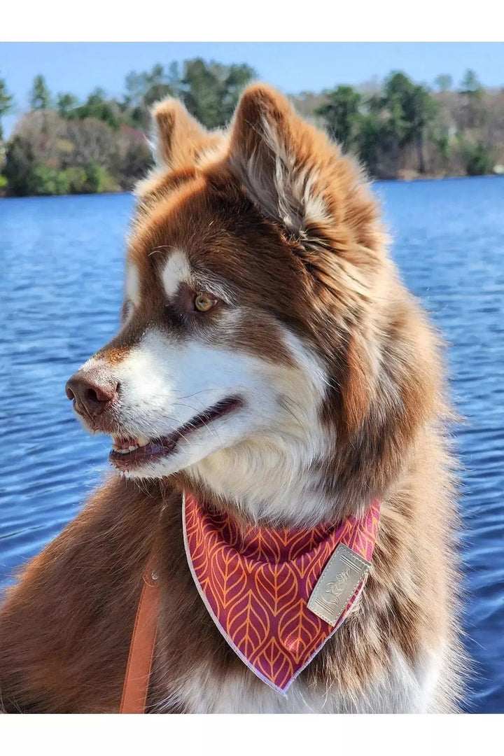 Twilight Trails Bandana bandana