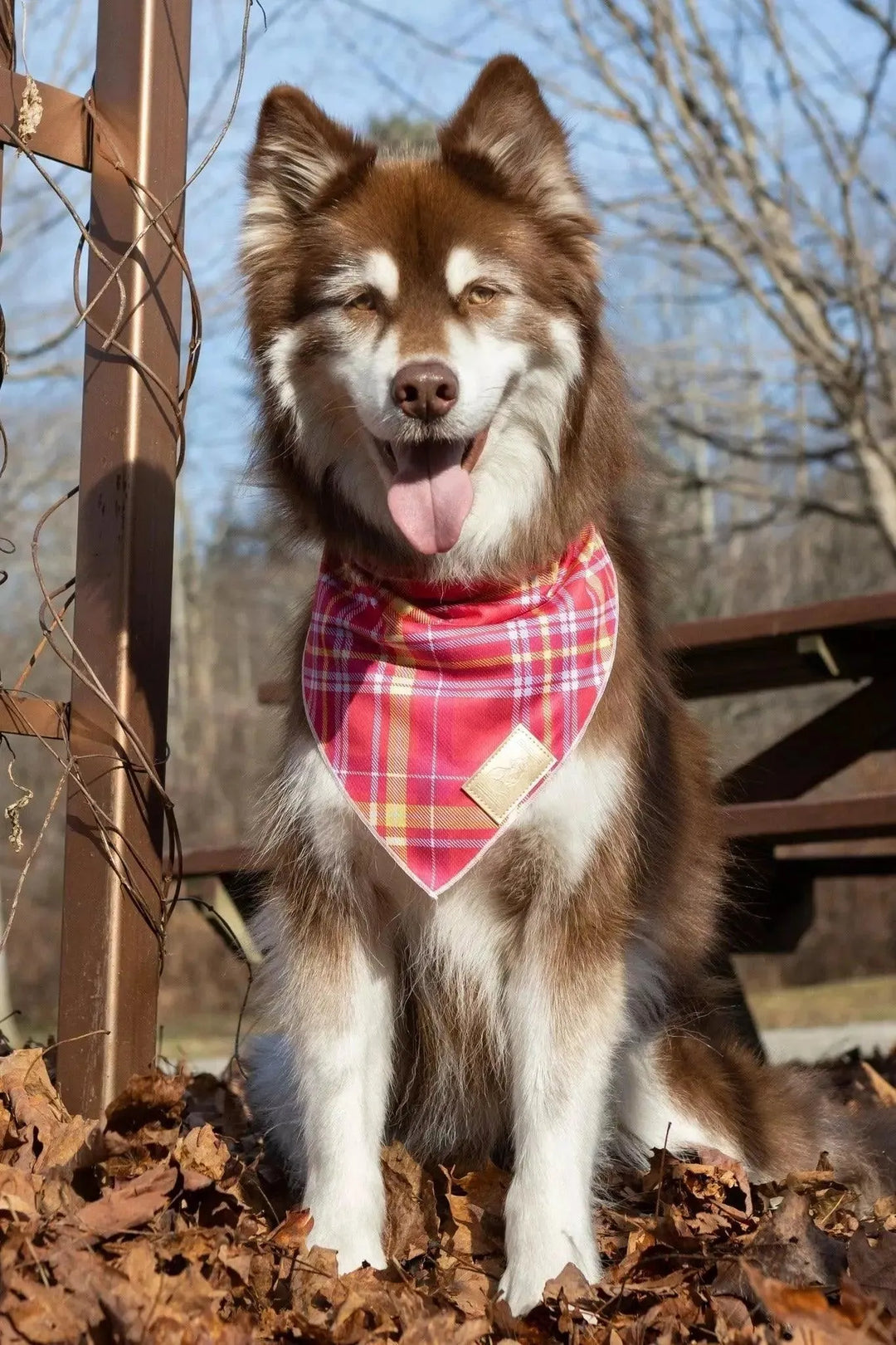 Wine Plaid Bandana bandana