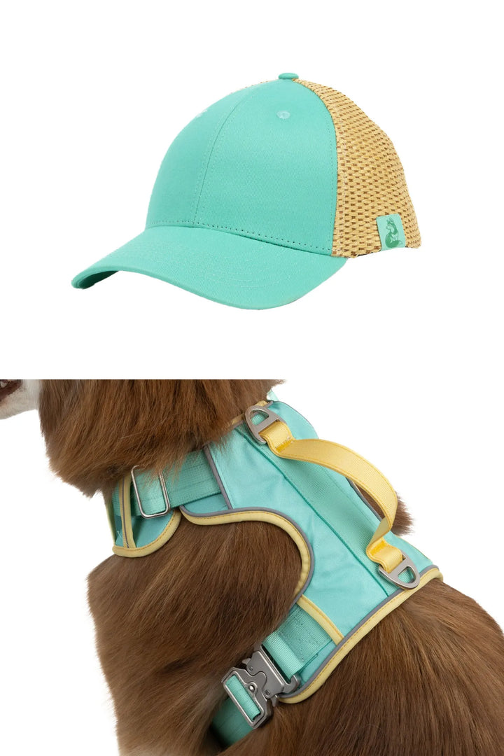 Baseball Cap with Raffia and Harness Matching Set