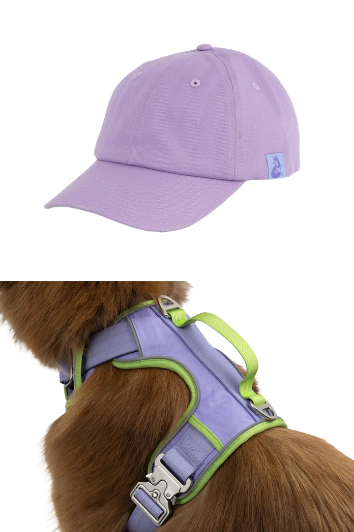 Baseball Cap with Harness Matching Set