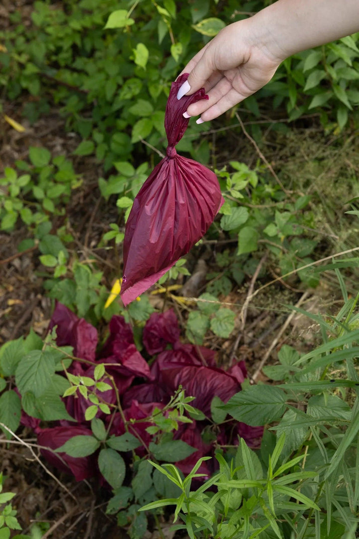 Plant Based Compostable Waste Bags - Aria the Fox