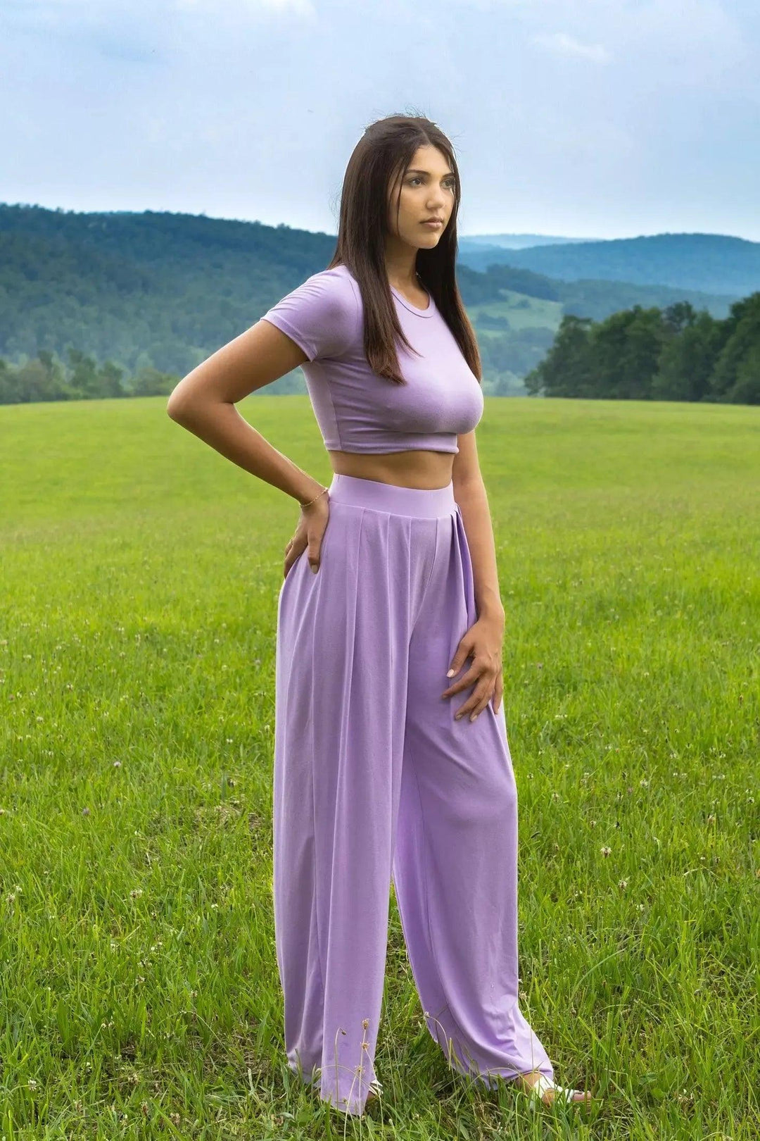 Crop Top and Wide Leg Palazzo Pants Set Outfit Set