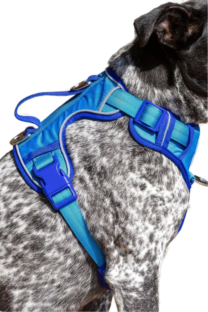 Dockside Adventures Ultimate Harness Harness