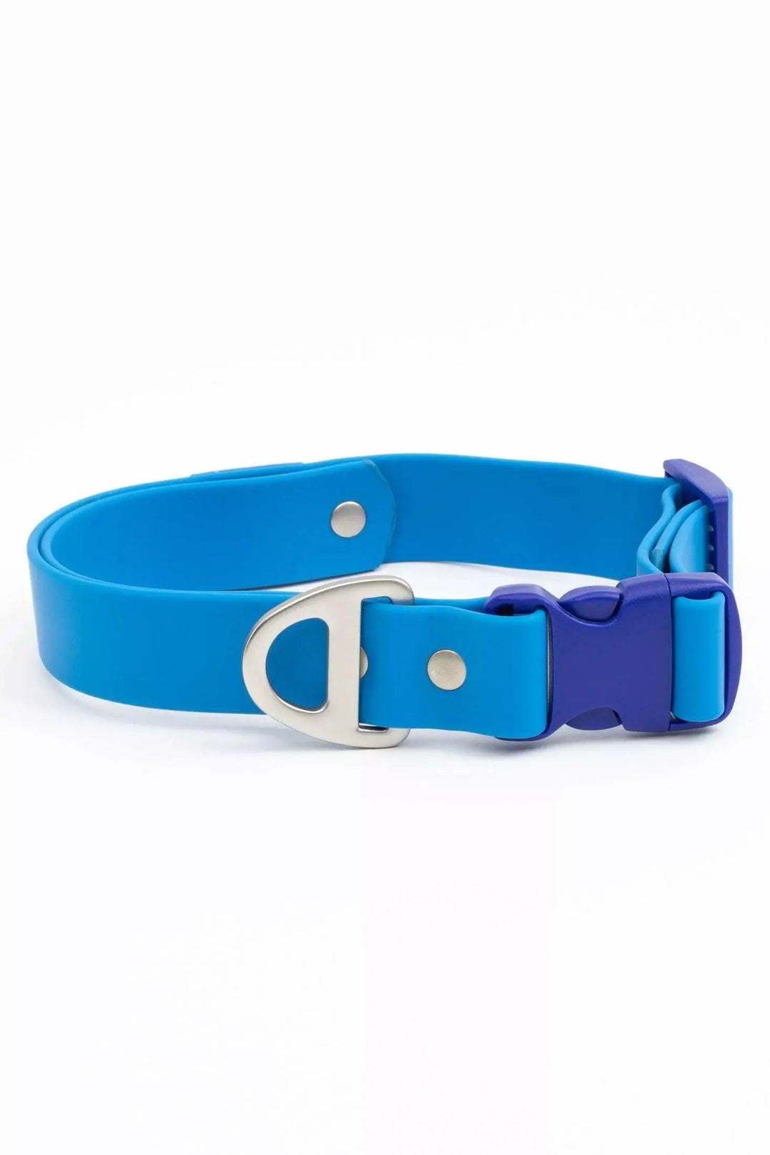 Dockside Adventures Waterproof Collar Collar