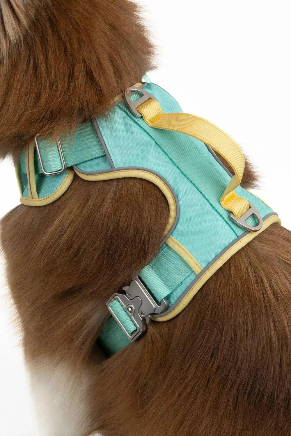 Island Vibes Ultimate Harness Harness