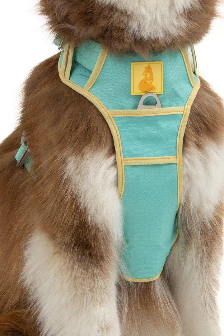 Island Vibes Ultimate Harness Harness