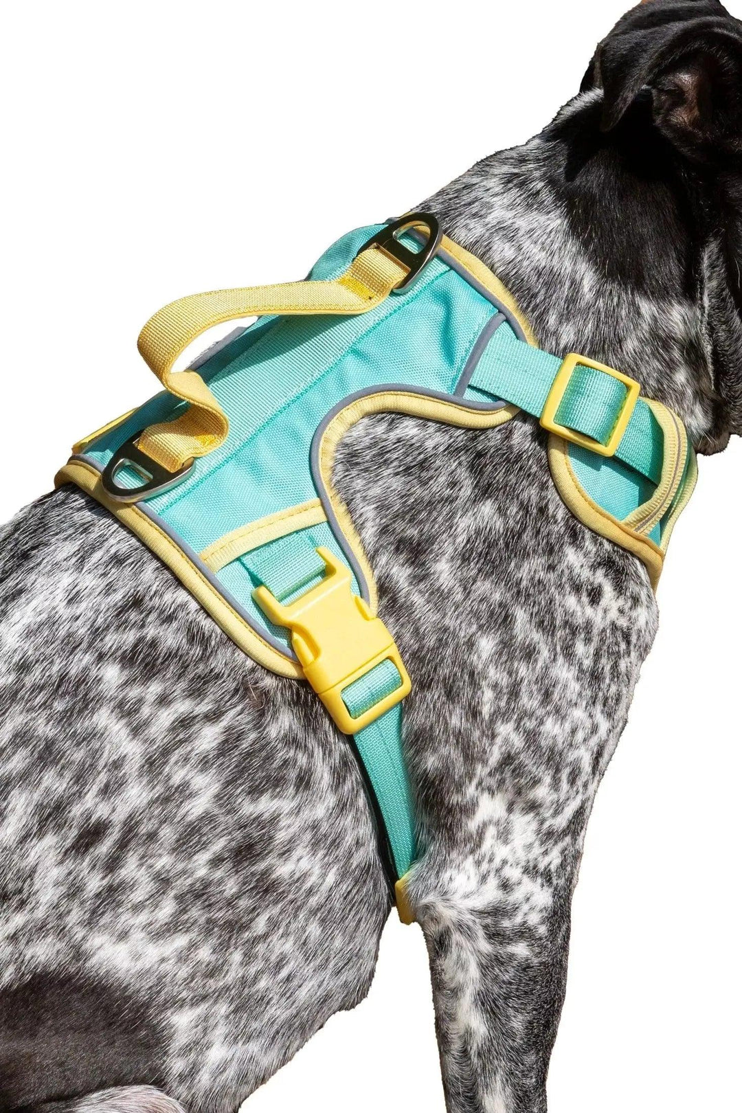 Island Vibes Ultimate Dog Harness Aria the Fox