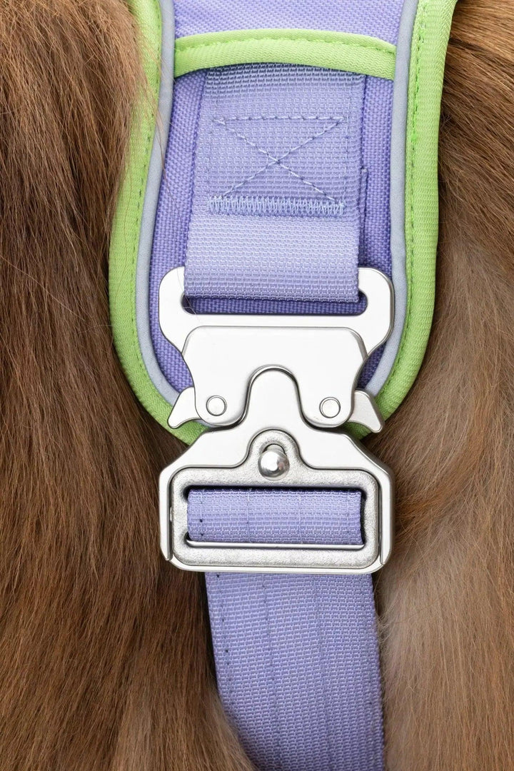 Lavender Garden Ultimate Harness Harness