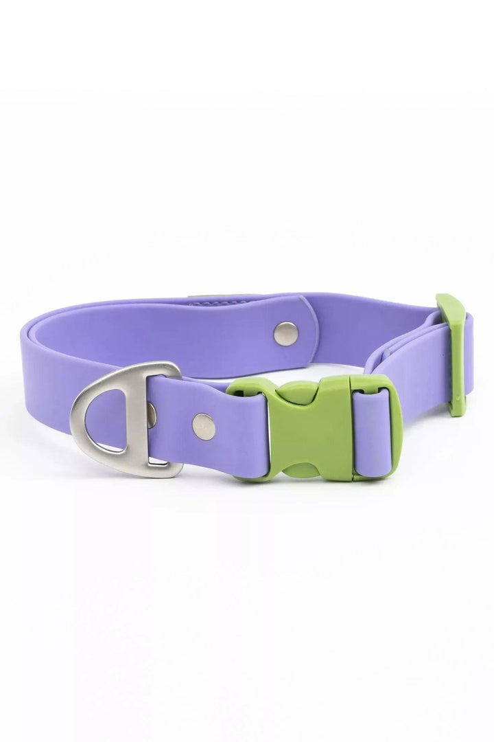 Lavender Garden Waterproof Collar Collar