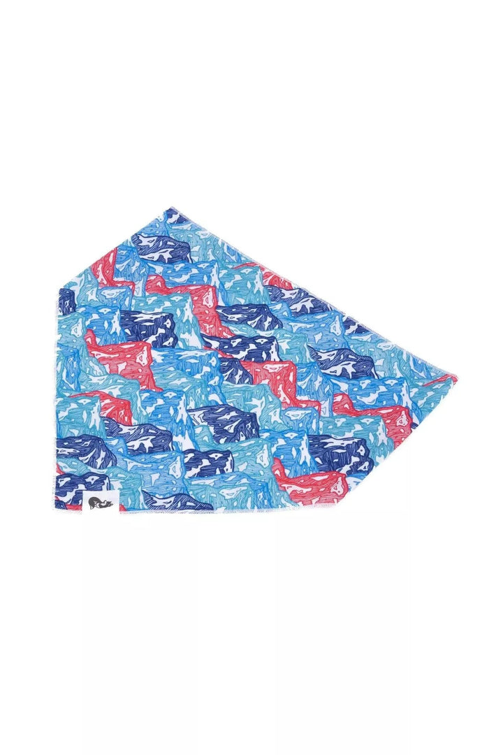 Painted Peaks Bandana bandana