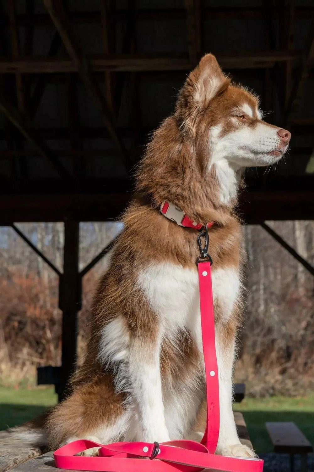 Red Mountain Syrah Waterproof Leash Leash